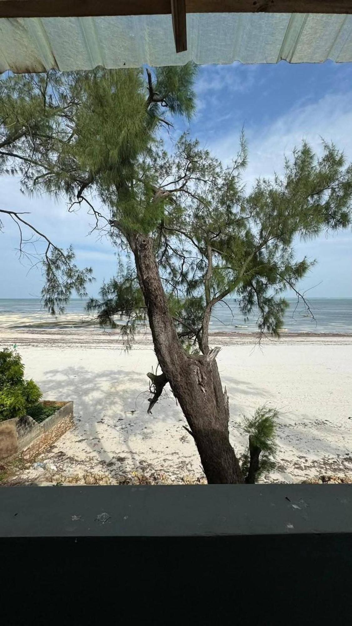 Apartment Beachfront Bliss In Uroa, Tanzania - Your Tropical Getaway Awaits